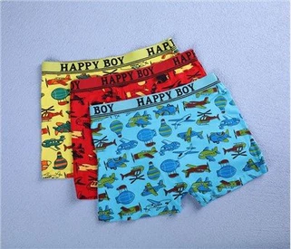 لڑکوں کے زیر جامہ نامیاتی